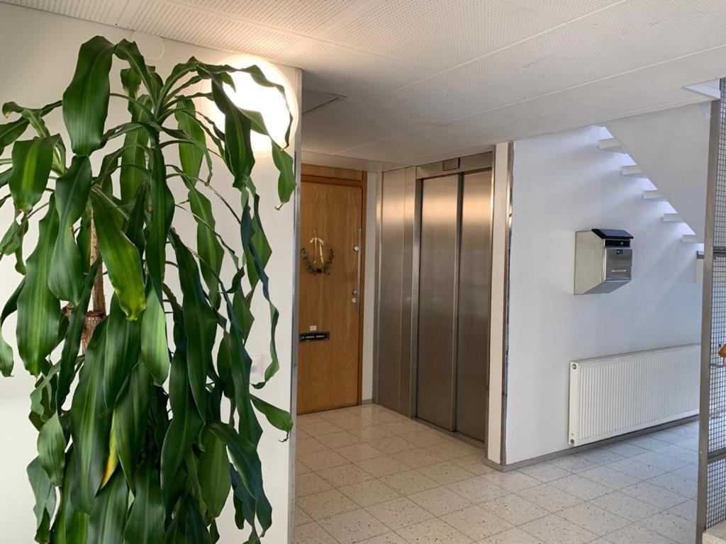 Apartment Sea, Sauna And Center *